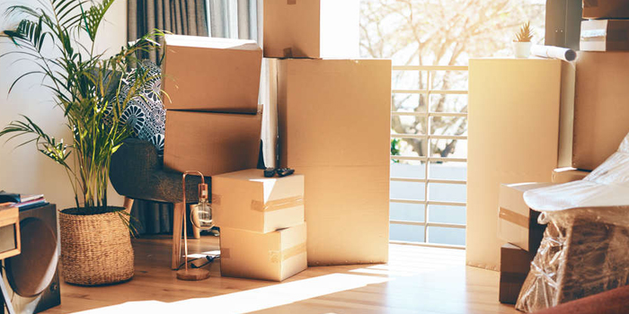apartment shifting services in Gastonia 